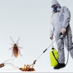 مكافحة حشرات المطلاع